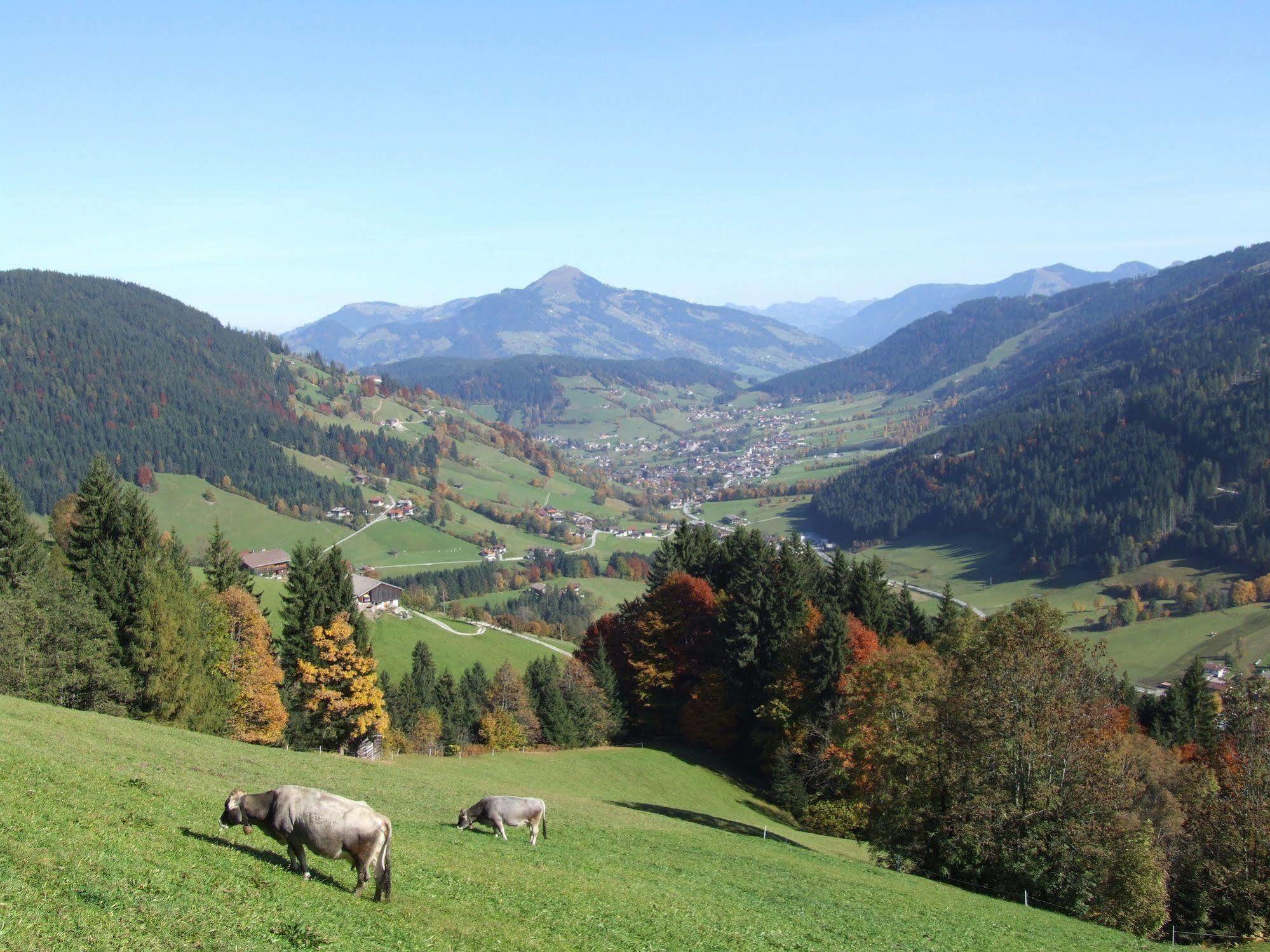 Alpenchalet Almrose Auffach Esterno foto